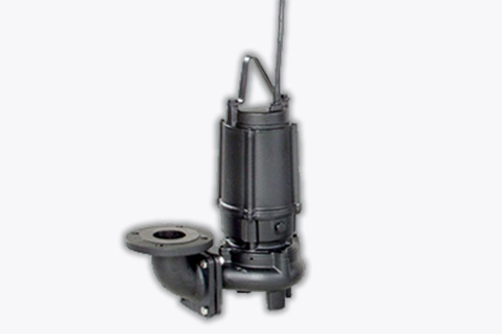 Ebara Wastewater Lift Pump