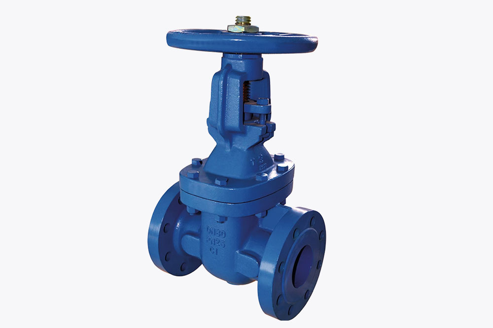 Albion Cast Iron Rising Stem Gate Valve