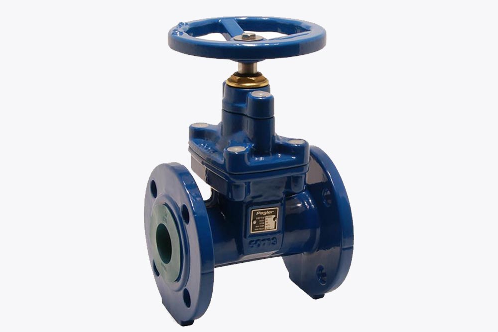 Pegler Gate Valve